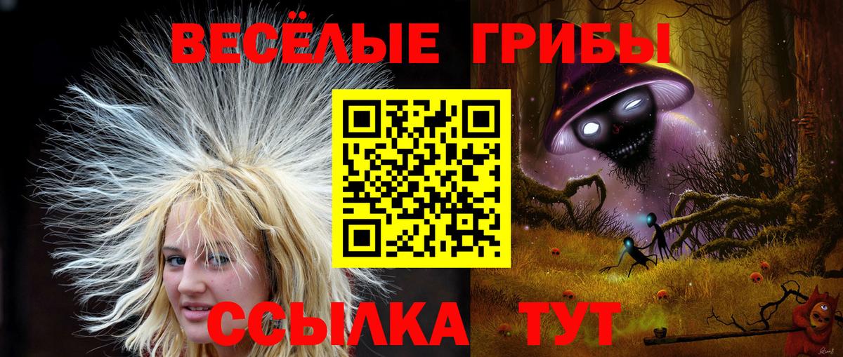 Каменск-Уральский  наркотики  Вход с VPN  Галлюциногенные грибы мицелий  Псилоцибиновые грибы мухоморы 